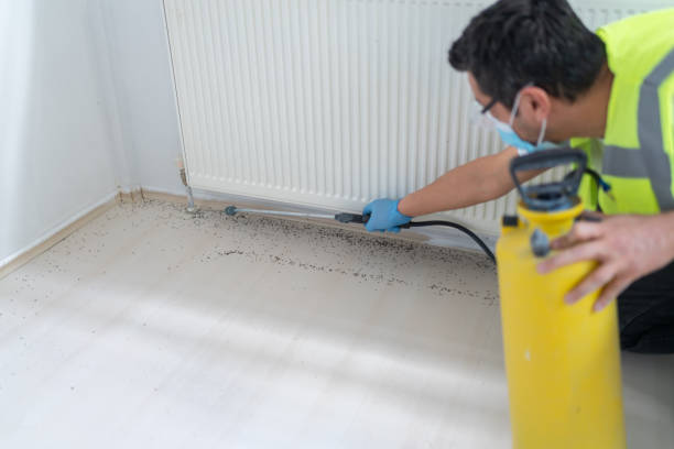 Best Pest Prevention Services  in Ocean Bluff Brant Rock, MA